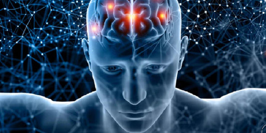 Unlocking Your Brain's Potential: A Guide to Brain Support Supplements - Vitalize®