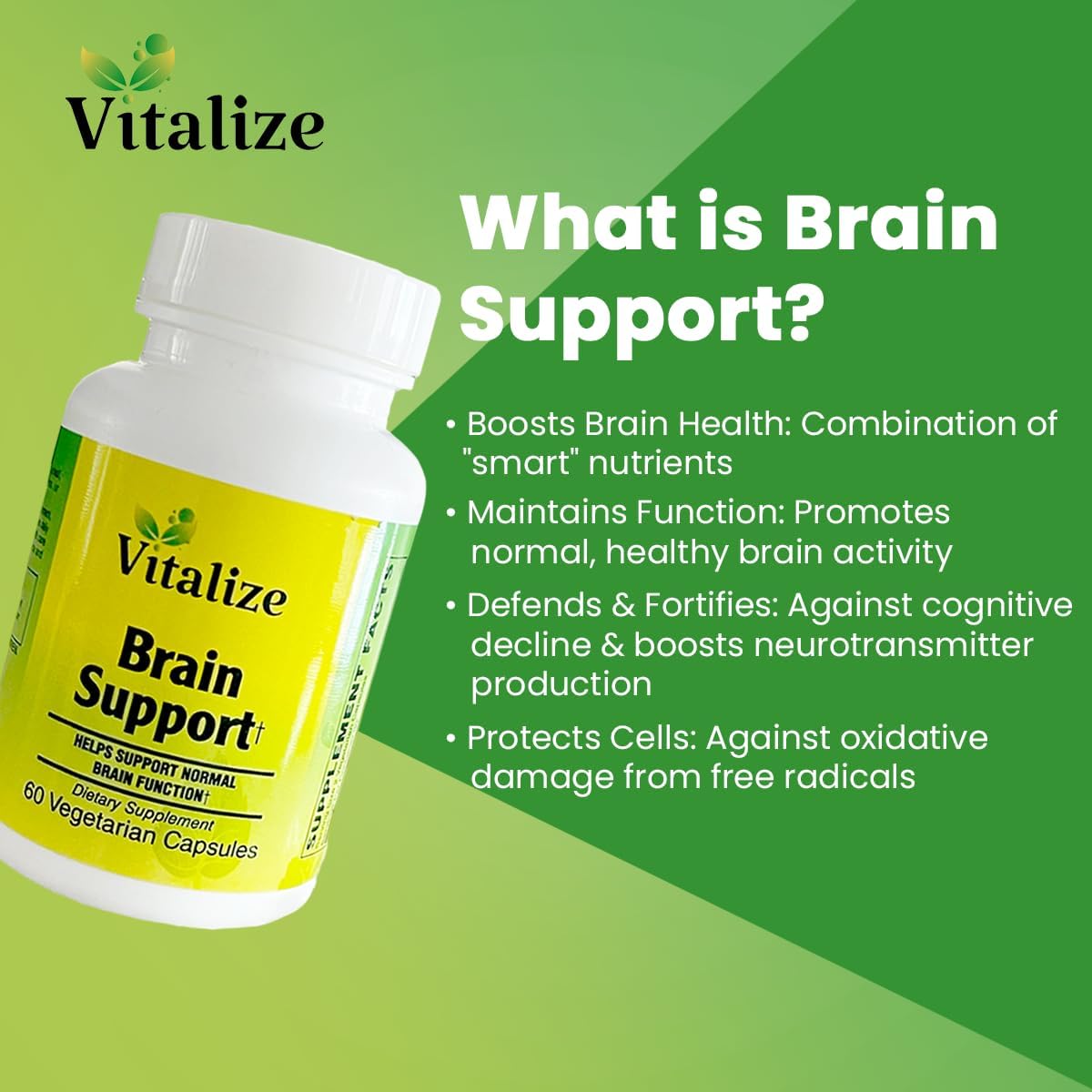 BRAIN SUPPORT